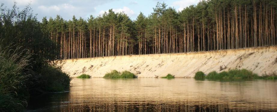 Domki Nad Pilica Krzetow ภายนอก รูปภาพ