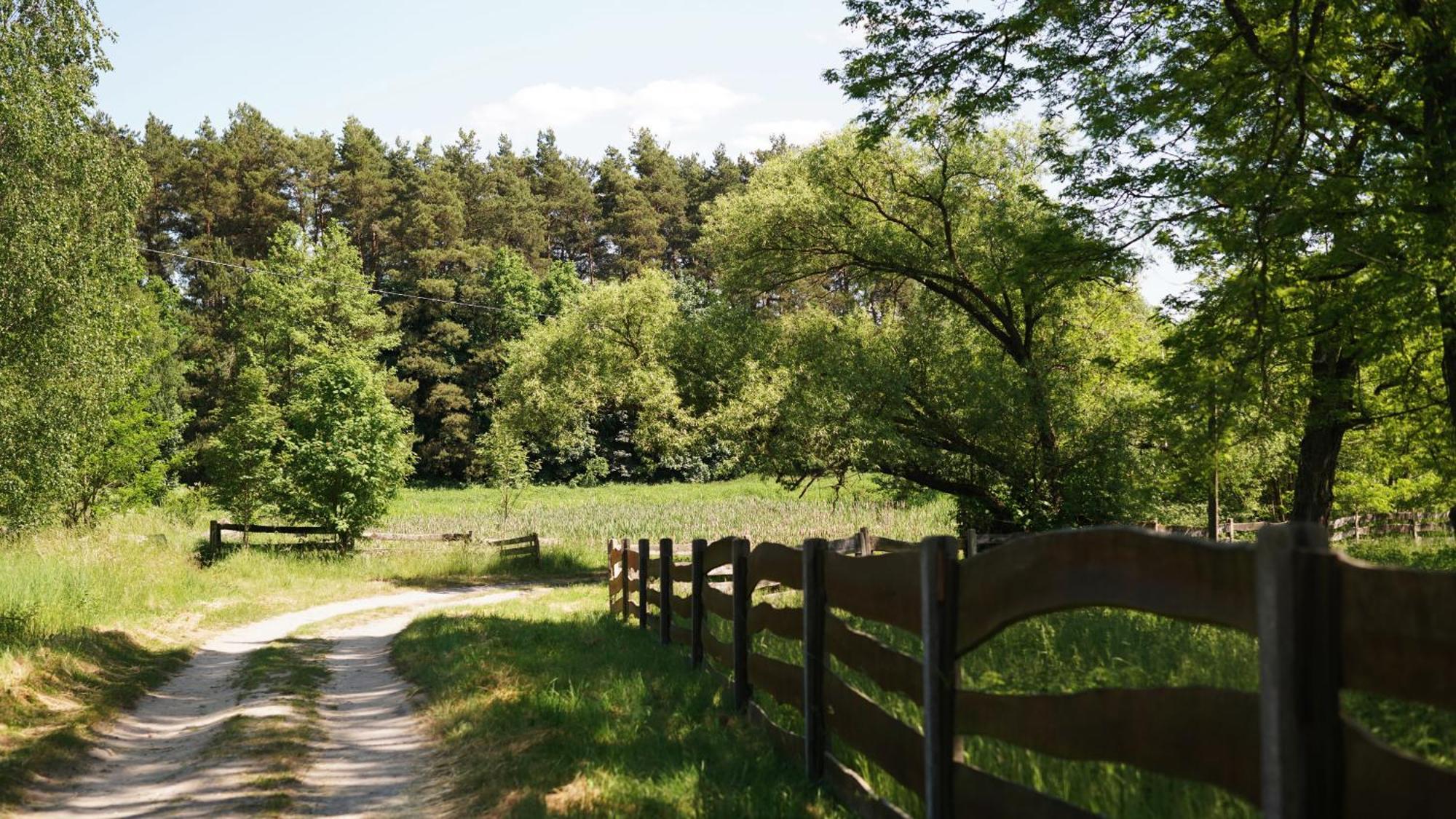Domki Nad Pilica Krzetow ภายนอก รูปภาพ